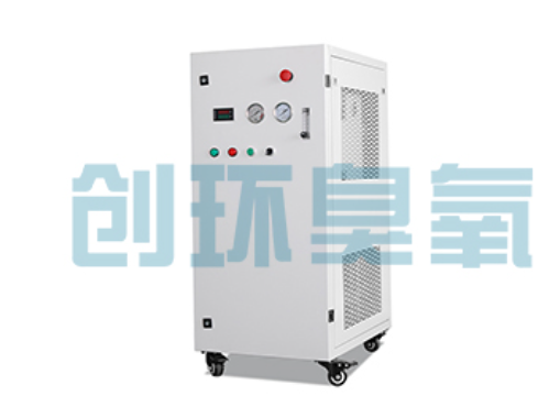 廊坊石斑鱼养殖水质调控完整指南:臭氧发生器配置与操作步骤