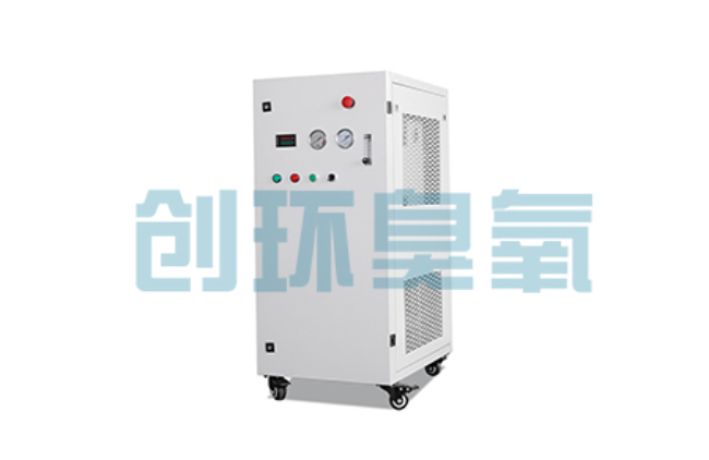 廊坊比传统换水更高效?臭氧发生器在石斑鱼养殖中的水质净化原理解析