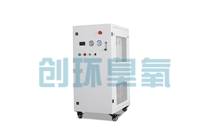 廊坊比传统换水更高效?臭氧发生器在石斑鱼养殖中的水质净化原理解析